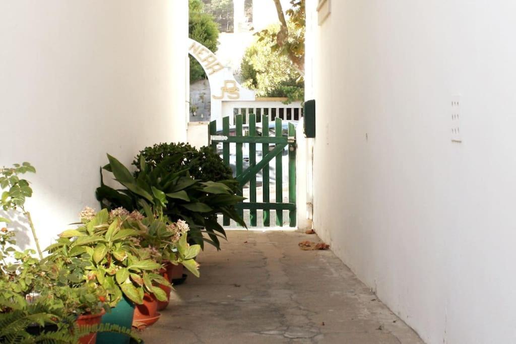 The Green Gate Patio House Nazaré Eksteriør bilde